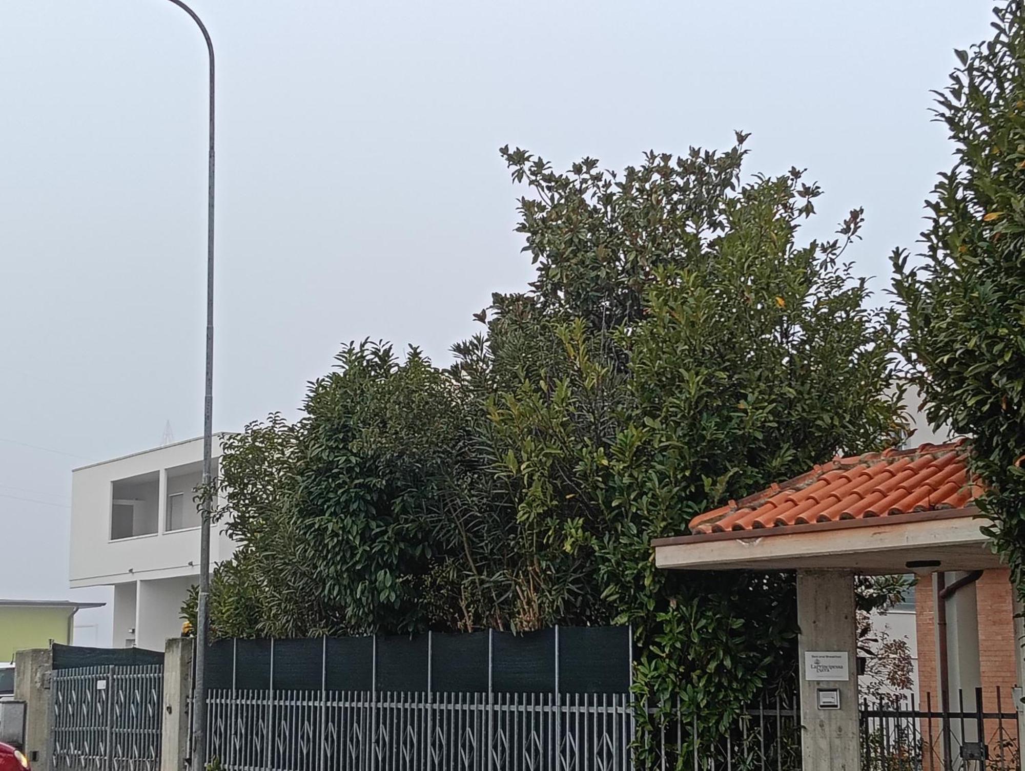 La Principessa Nera B&B Ostra Oda fotoğraf